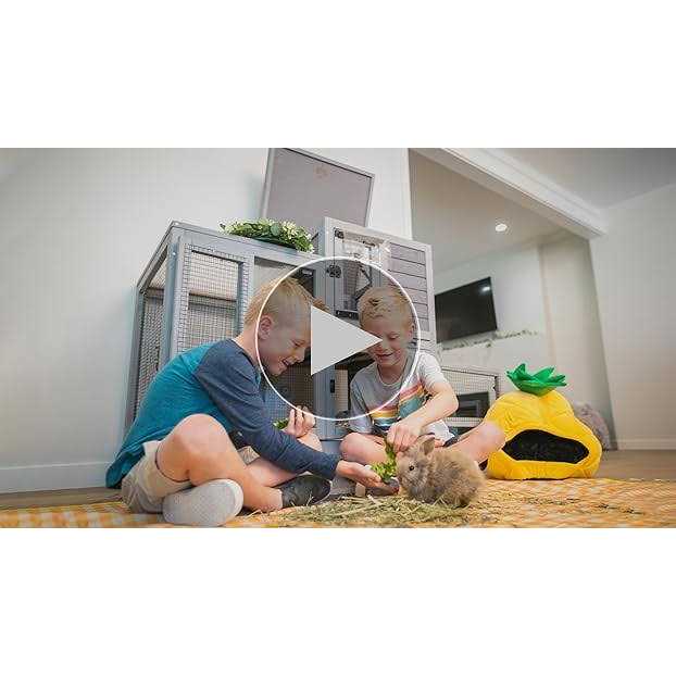 Indoor Outdoor Rabbit Animals P411