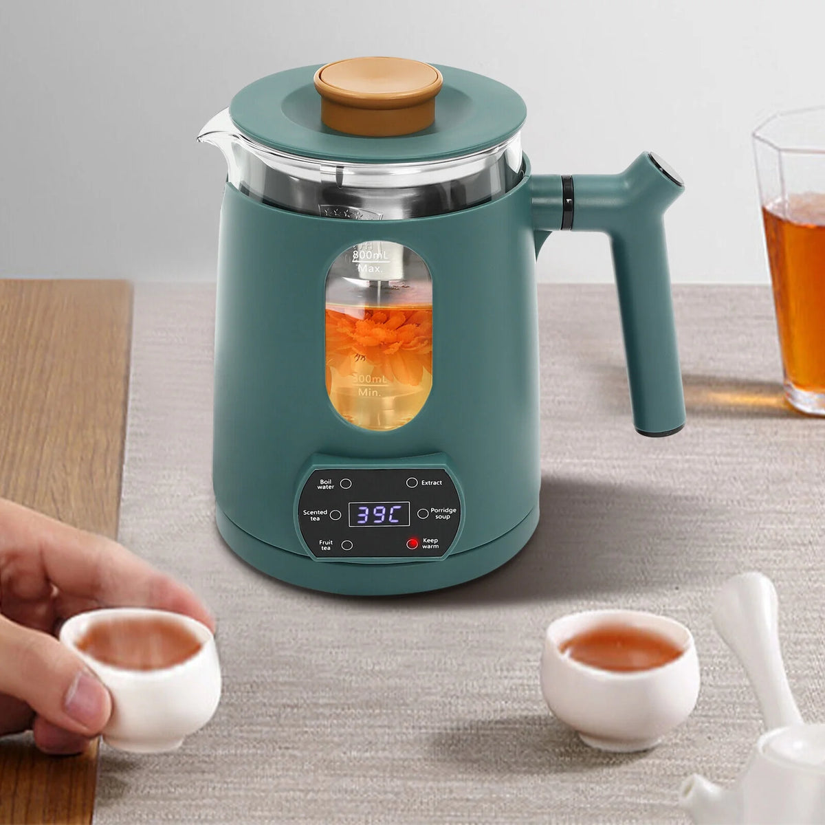 Stainless Steel Electric Water Kettle 600W Green X8161