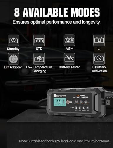 10A 12V Lifepo4 Battery Charger N35349