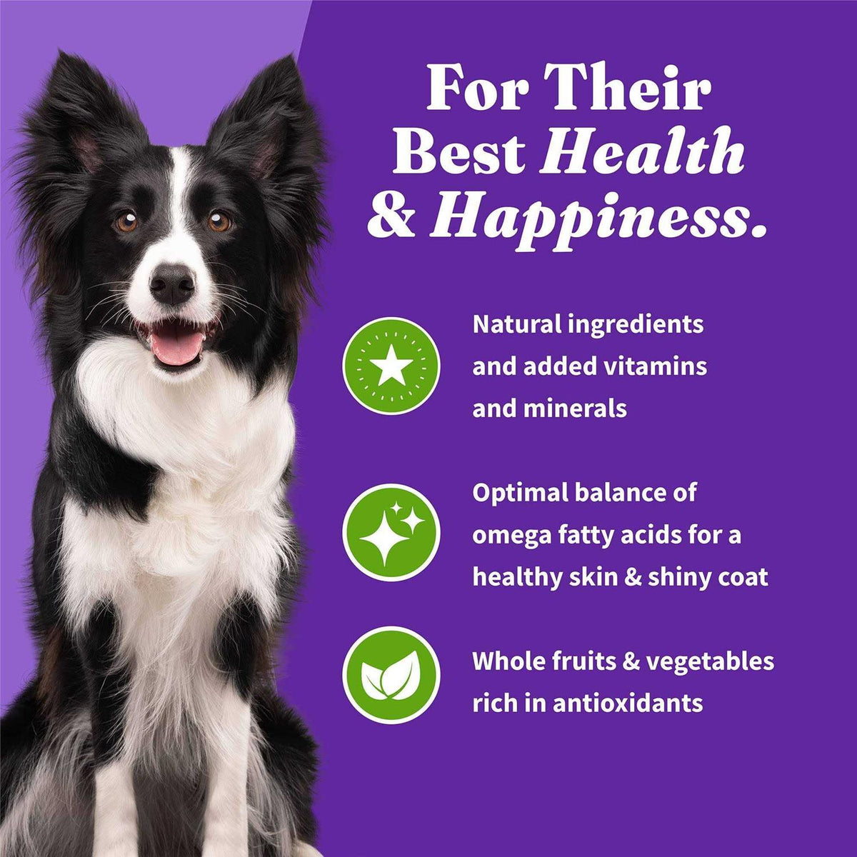 Vegan Plant-Based Dry Dog Food V907151