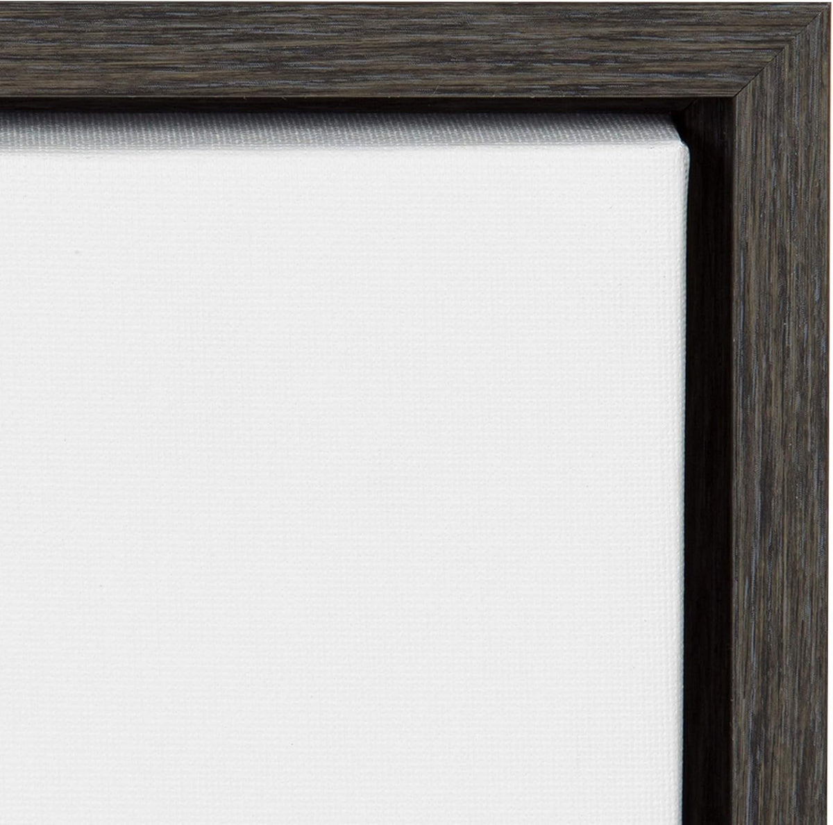 Black and White Lion Print Framed Canvas Wall Art K6741