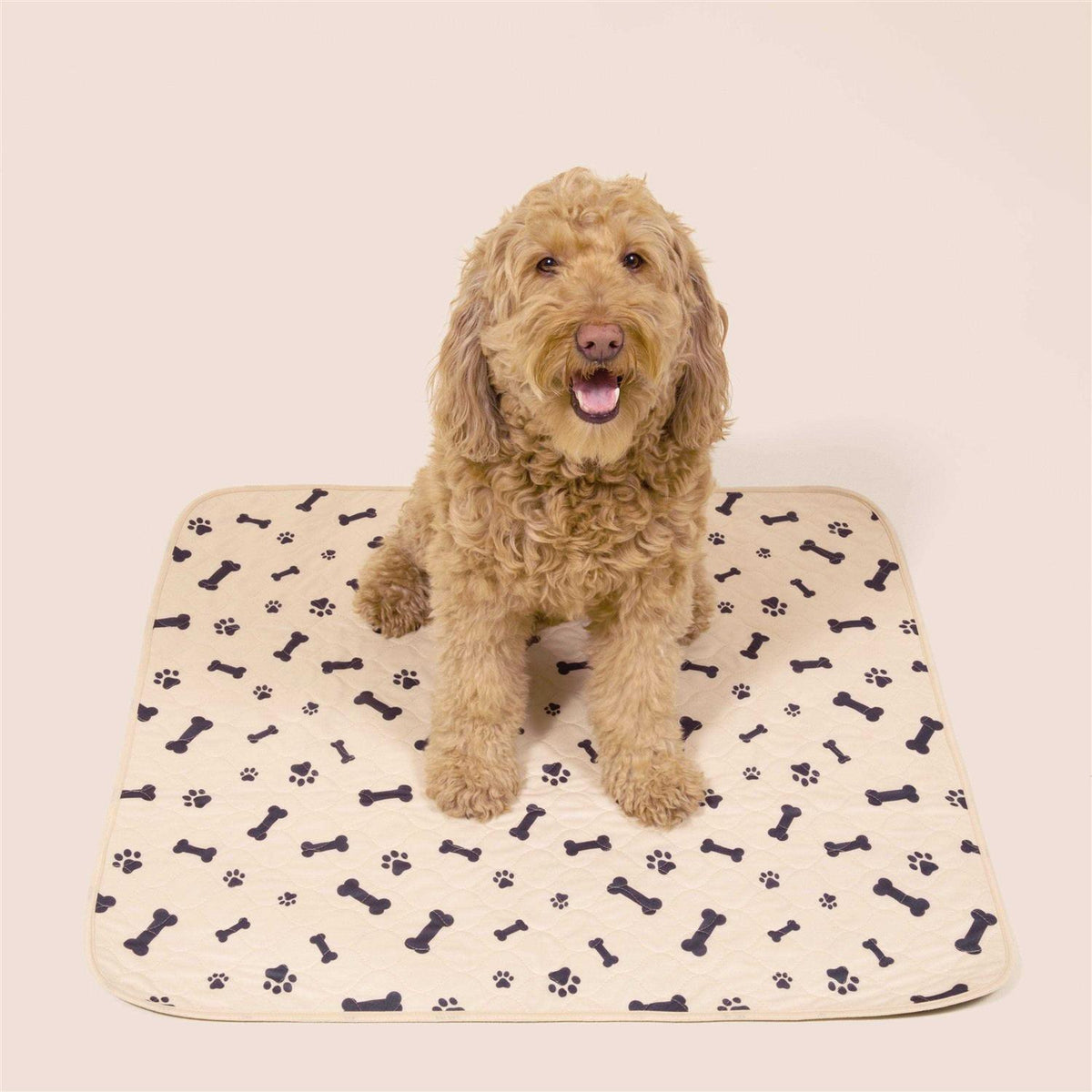 Reusable Pet Pad F983