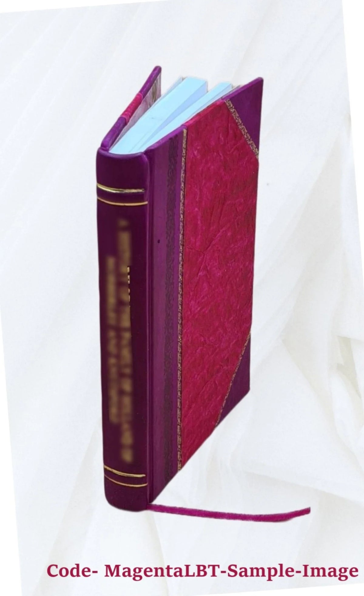 The Dido episode in the Aeneid of Virgil I640200