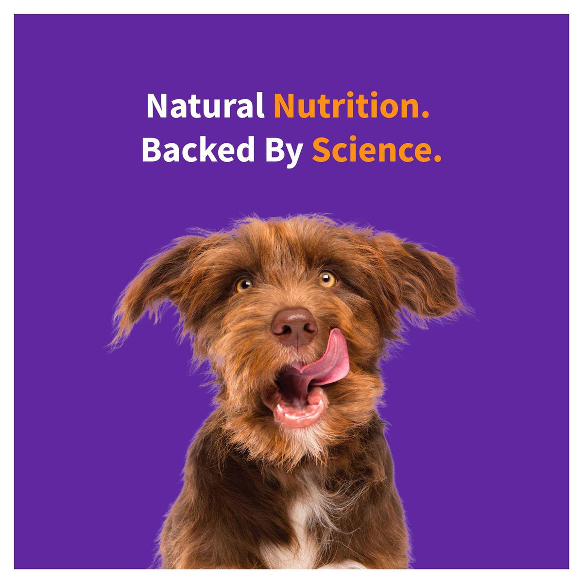 Red Meat Recipe Dry Dog Food D85489