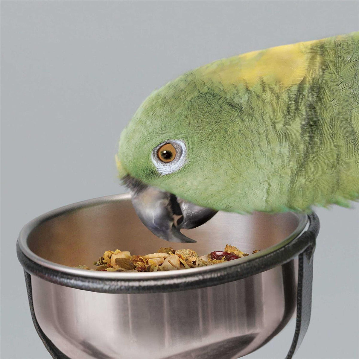 Bird Stand C137324
