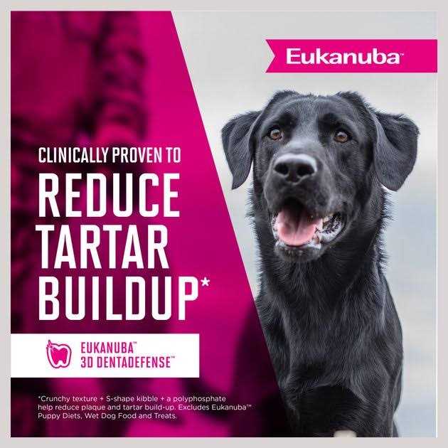 Senior Dry Dog Food T97620