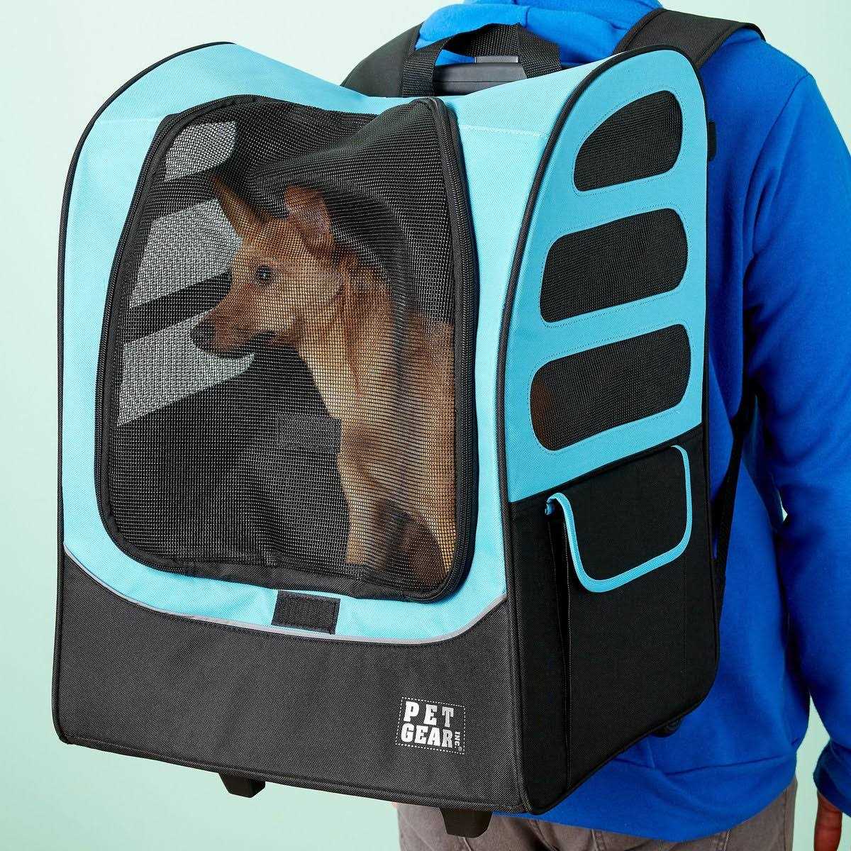 Pet Carrier H362230