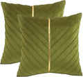 Green Velvet Throw Pillow Covers 22x22 Pack of 2 V12871
