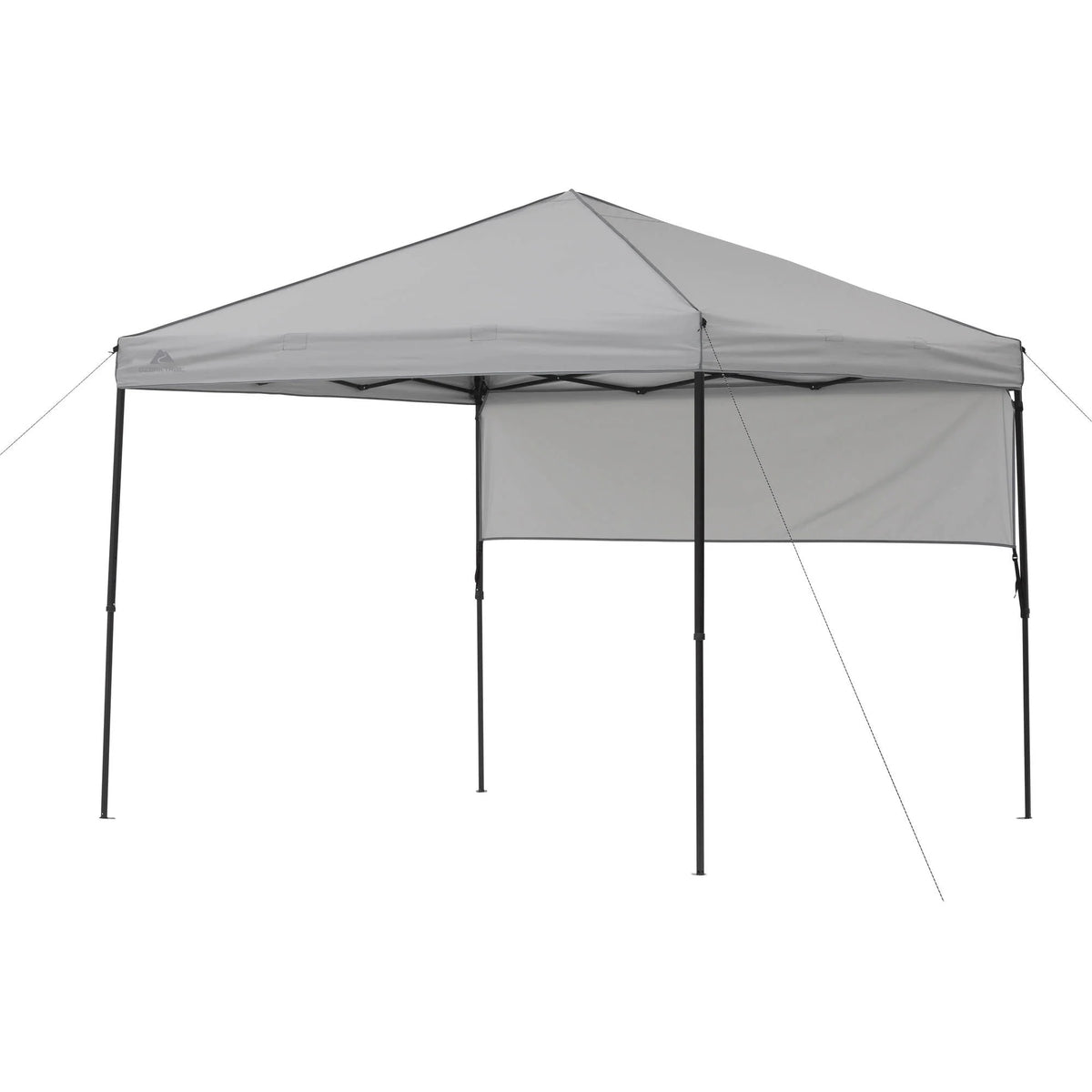 Gray Instant Outdoor Canopy Z429795
