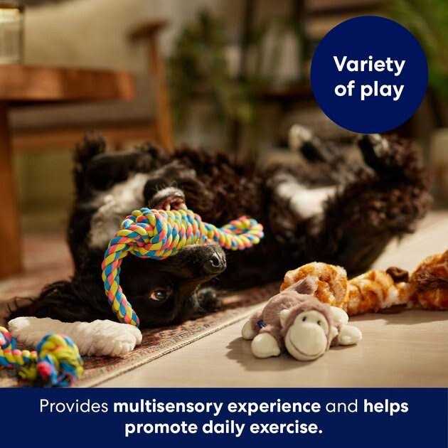 Plush & Rope Dog Toy P454601