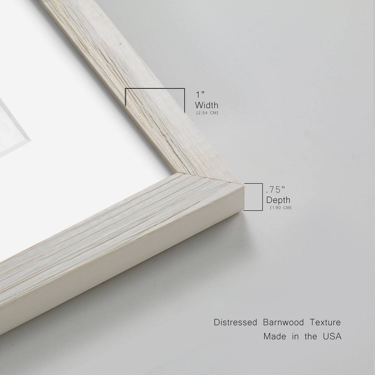 Framed Print 27.5X37.5 Walnut X1984