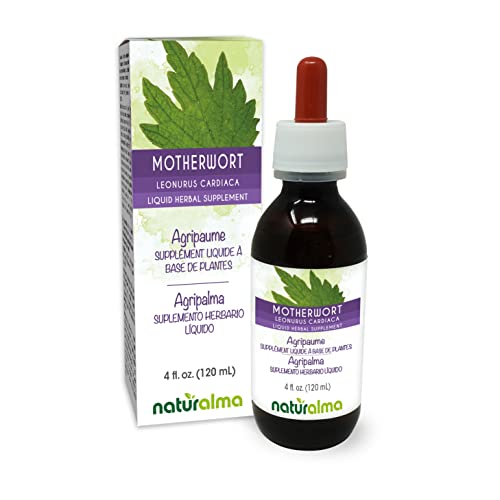 Motherwort Herb Alcohol-free Liquid Extract 4 fl oz W8891