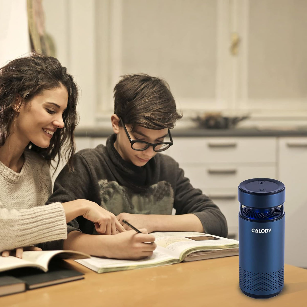 Portable Air Purifier with H13 True HEPA Filter V1509