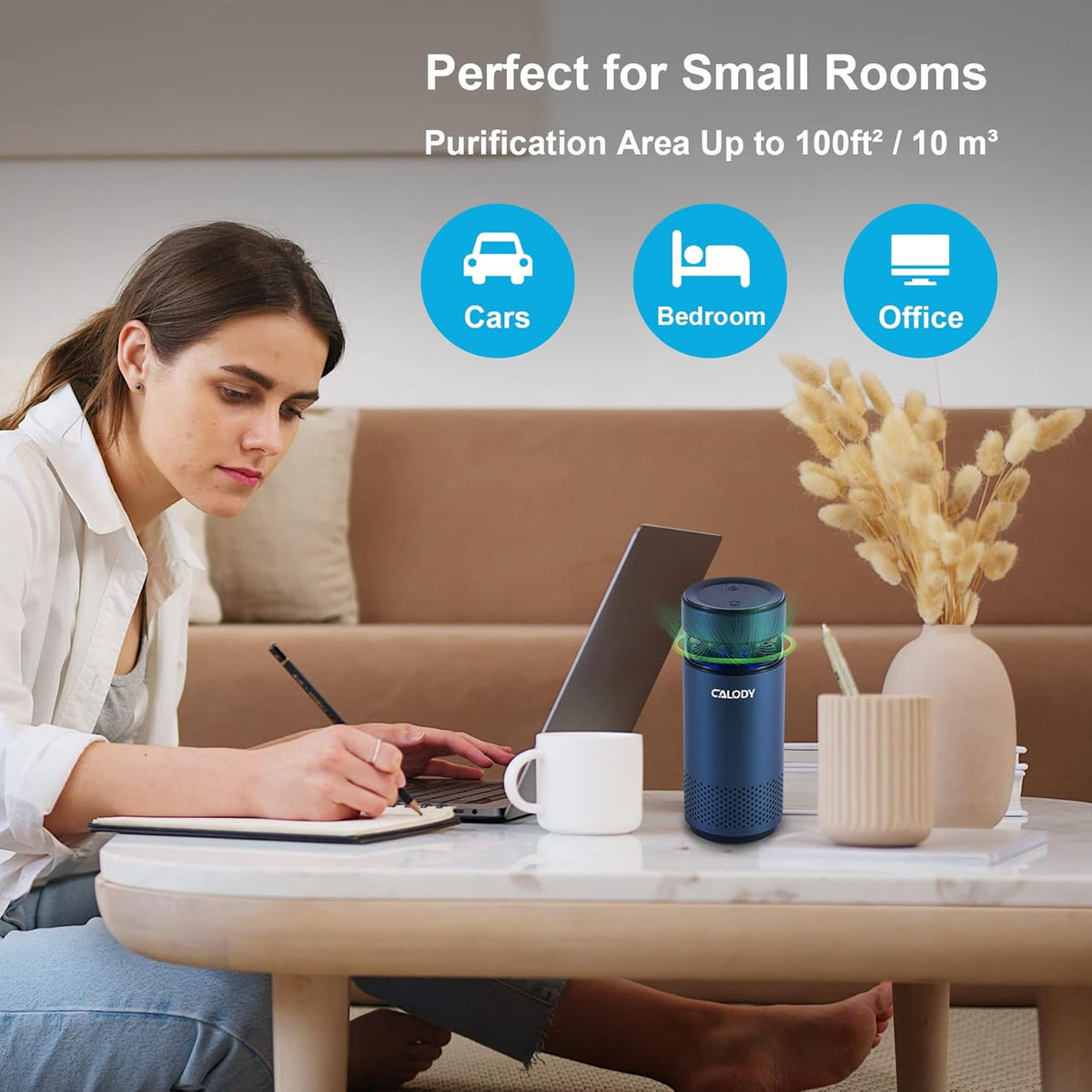 Portable Air Purifier with H13 True HEPA Filter V1509