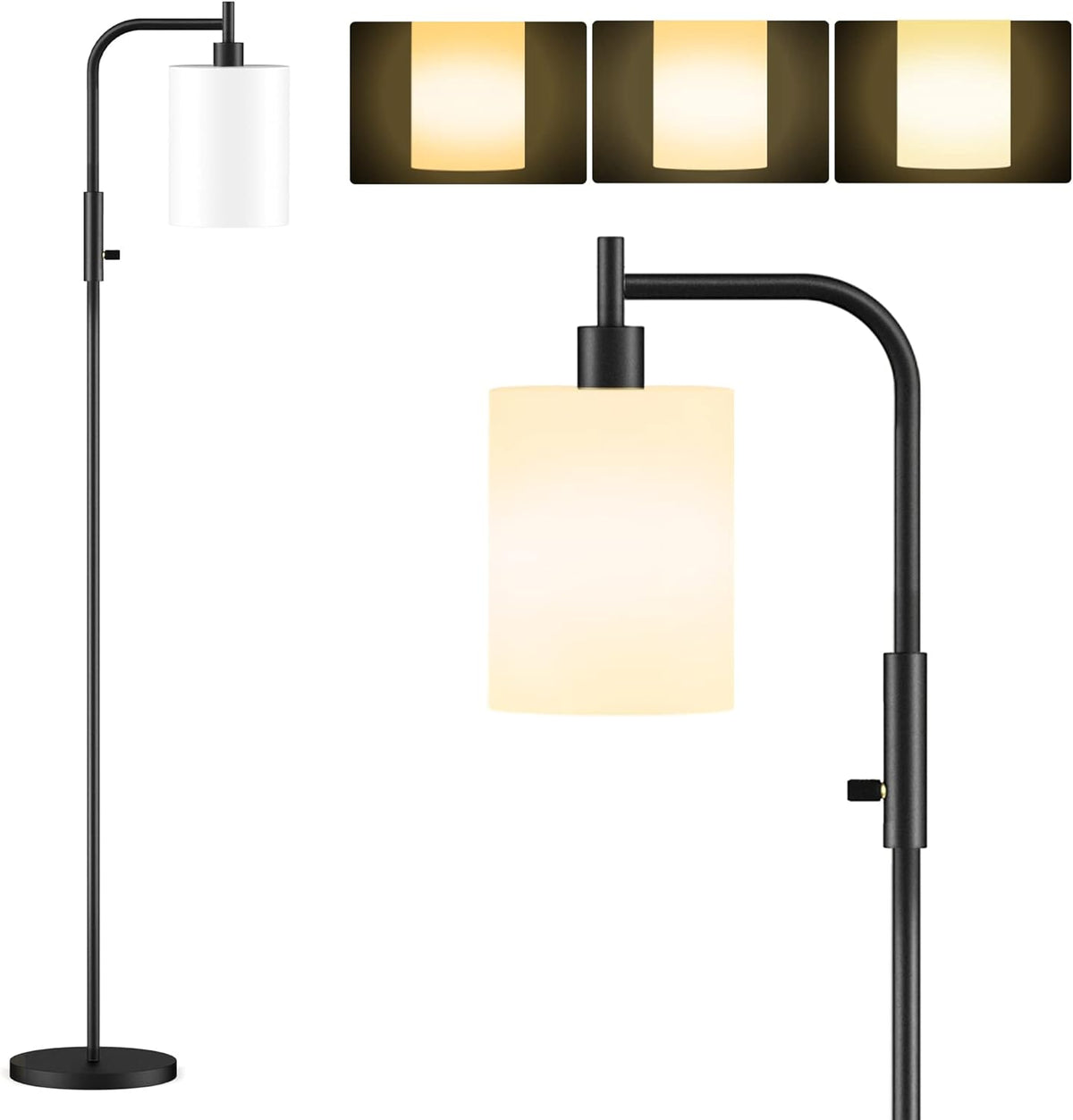 Black Dimmable Glass Shade Floor Lamp M733009