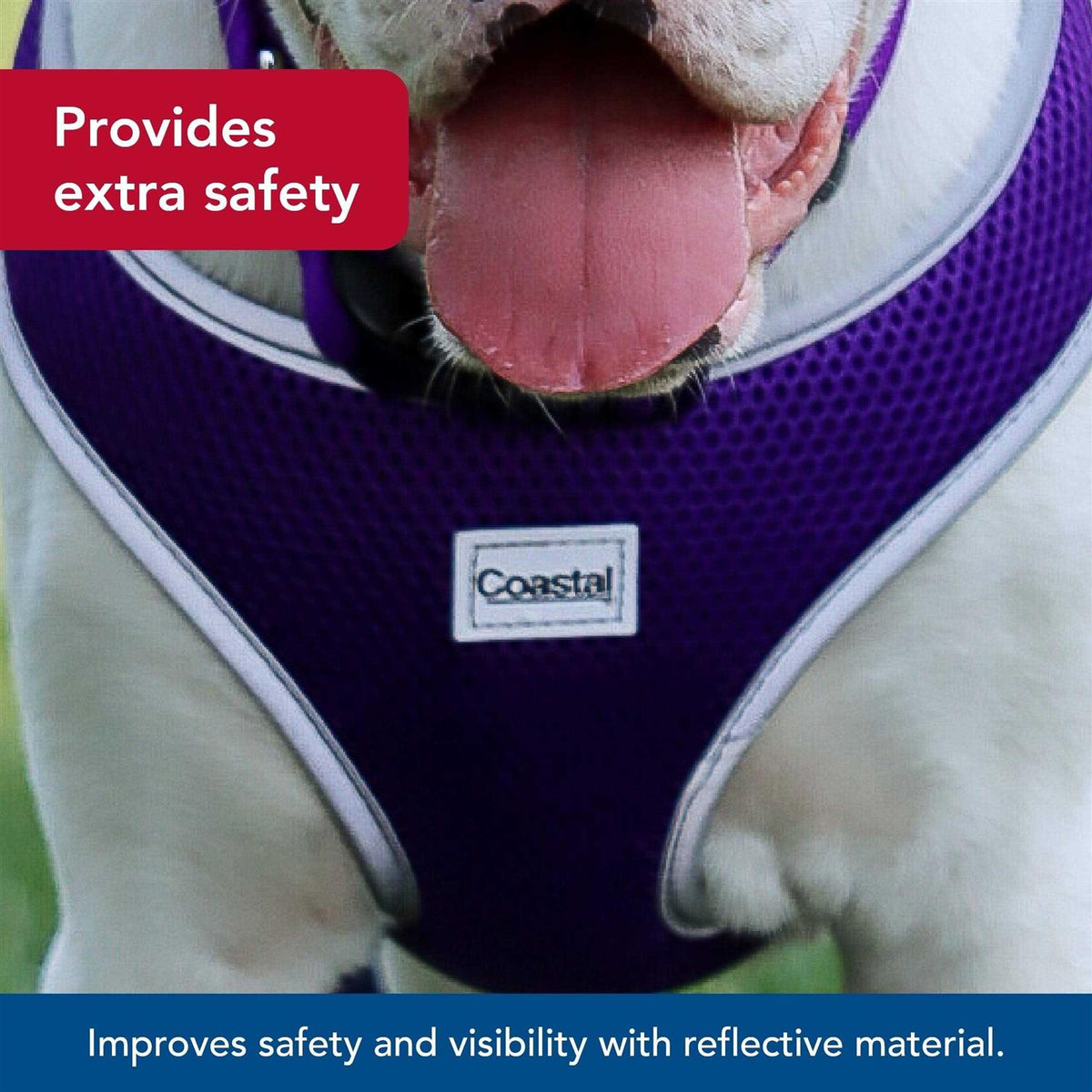 Adjustable Dog Harness Q233968