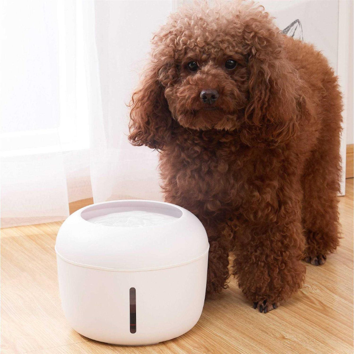 Ultra-Quiet Filtered Dog and Cat Fountain Waterer R932237