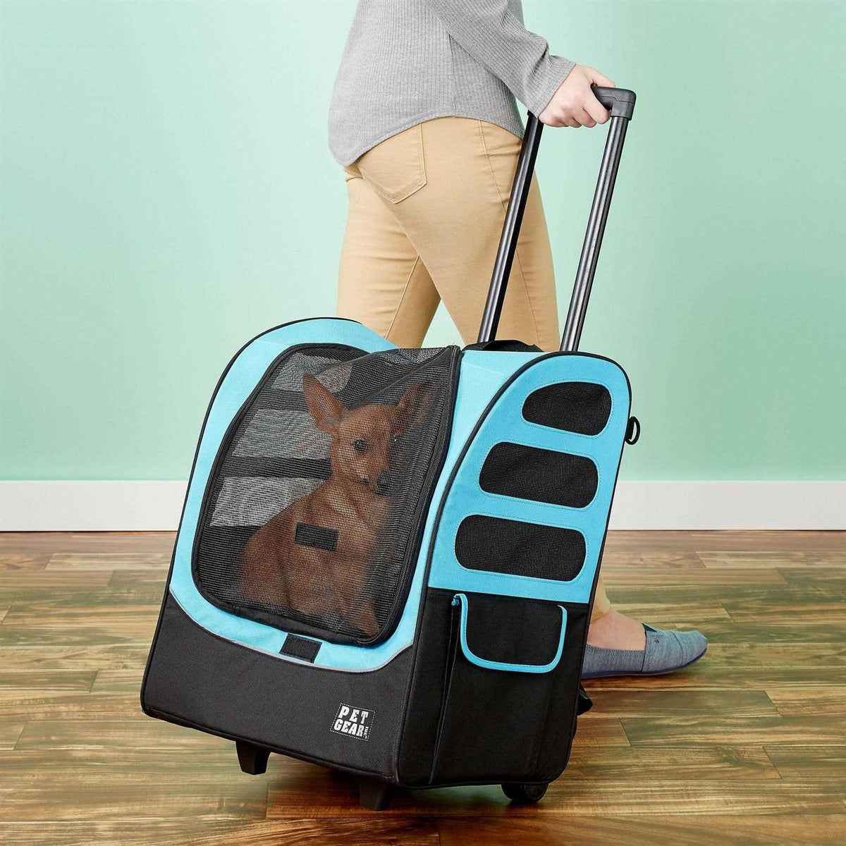 Pet Carrier H362230