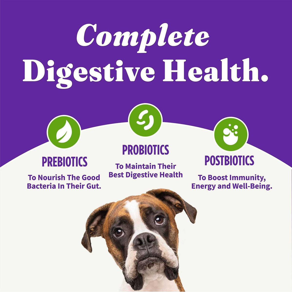 Vegan Plant-Based Dry Dog Food V907151