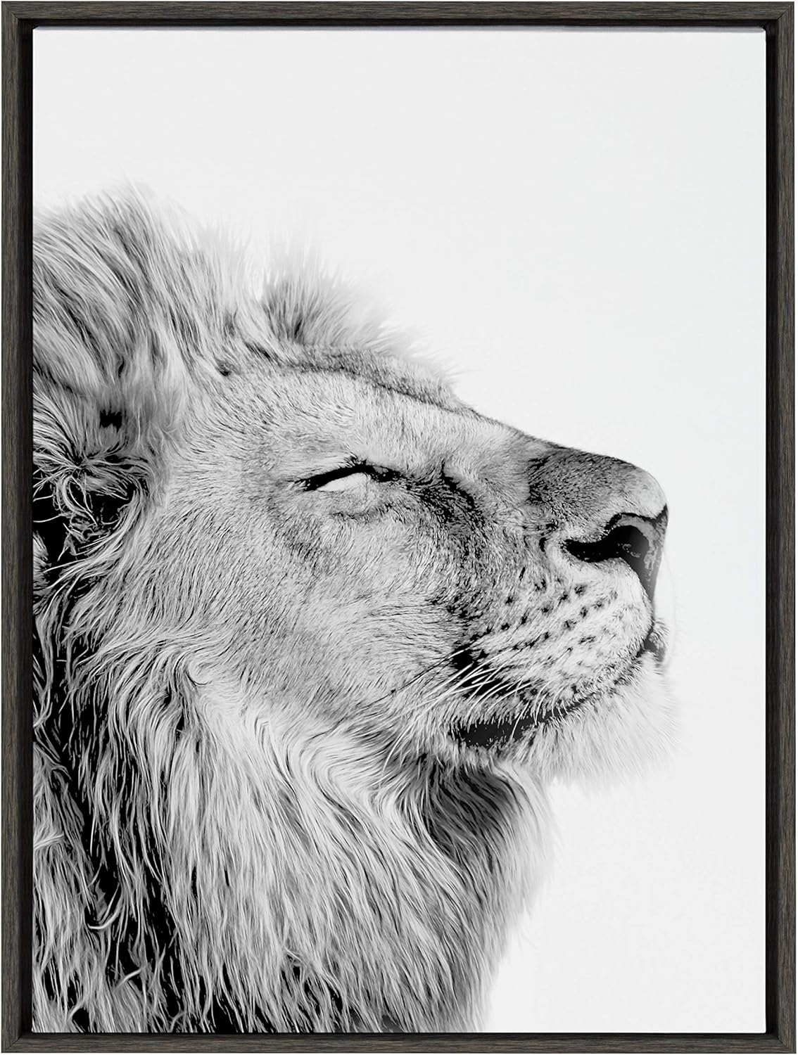 Black and White Lion Print Framed Canvas Wall Art K6741