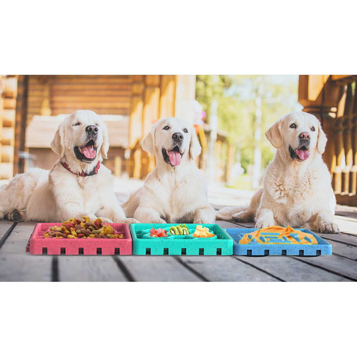 Pet Slow Treat Dispensing Mat Set J64843