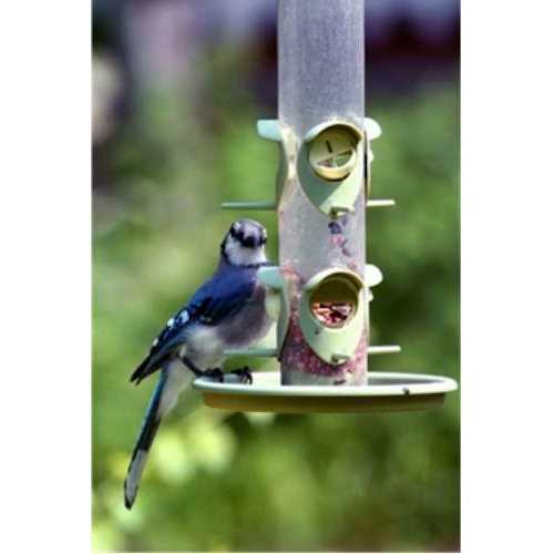 Wild Bird Food B940423