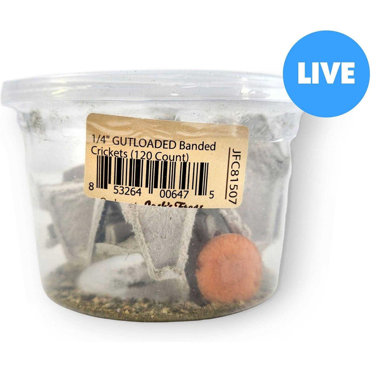 Live Crickets Reptile Food N963