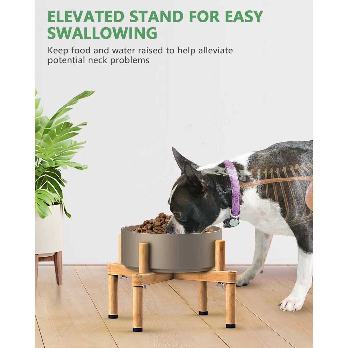 Adjustable Elevated Dog Bowl Stand G726158
