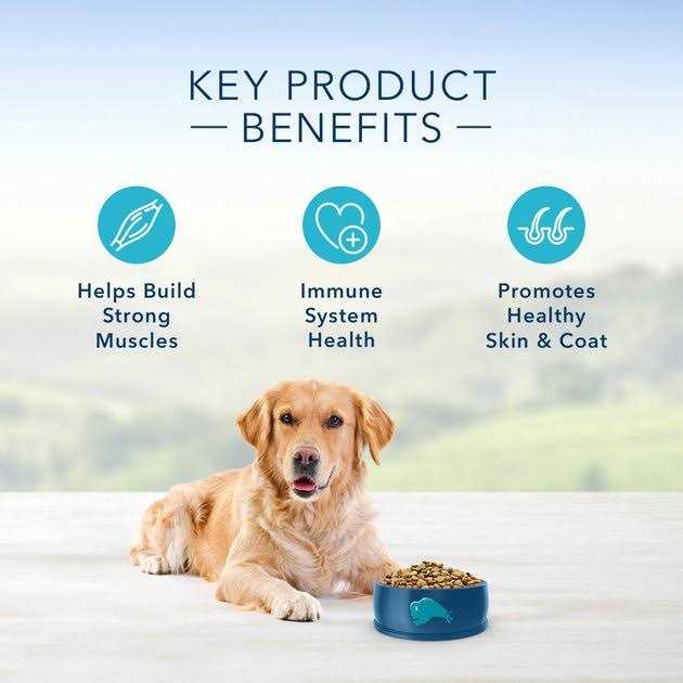Adult Chicken & Brown Rice Recipe Dry Dog Food F12956