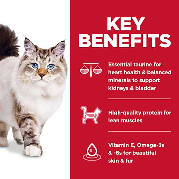 Chicken Dry Cat Food S507193