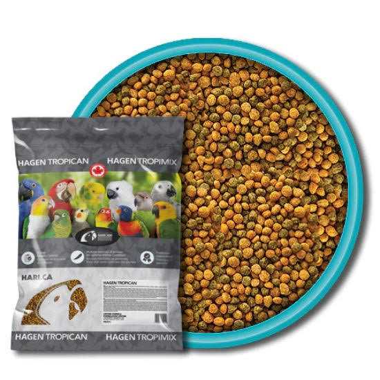 Cockatiel Granules Z26539