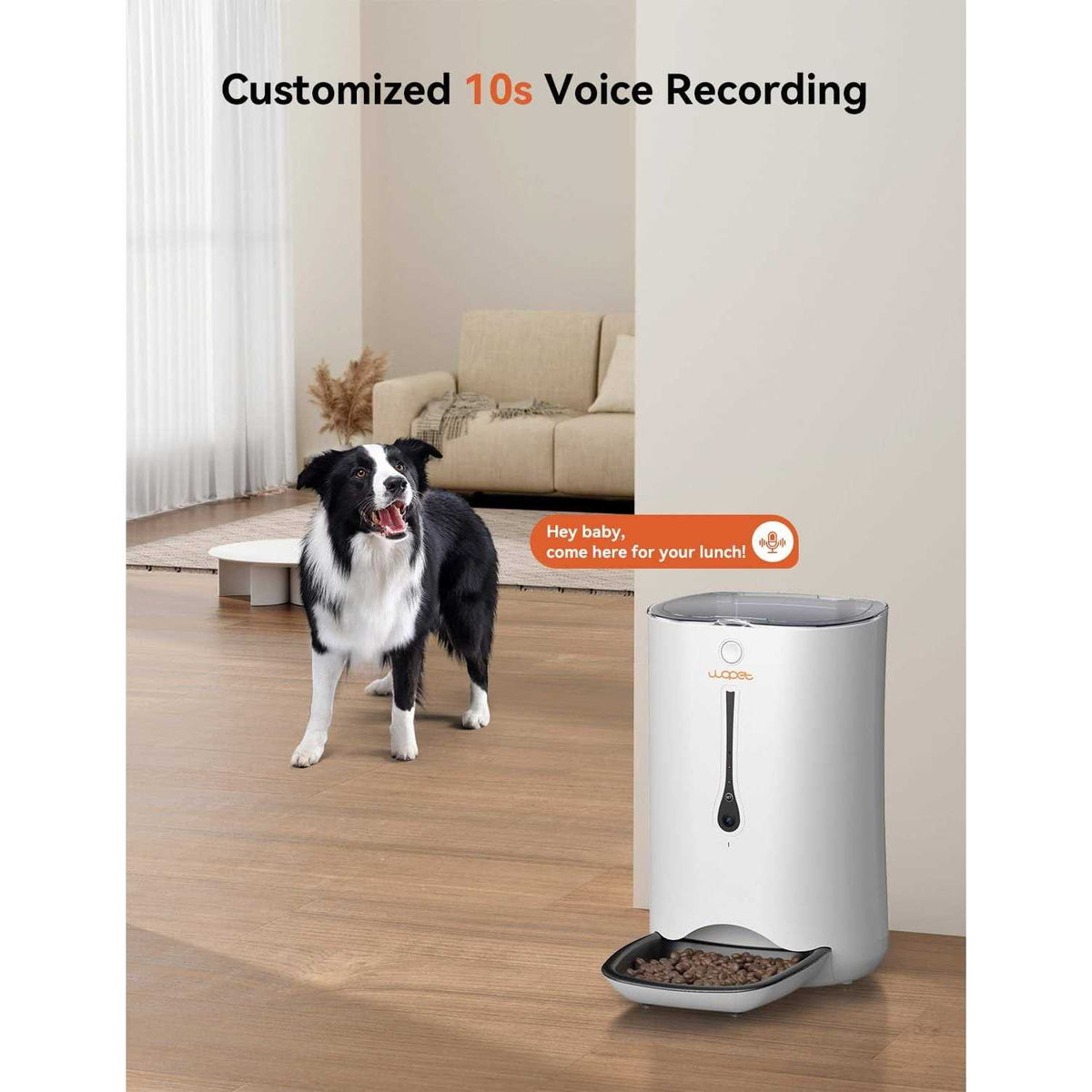 Automatic Cat Dog Feeder with Camera J92814