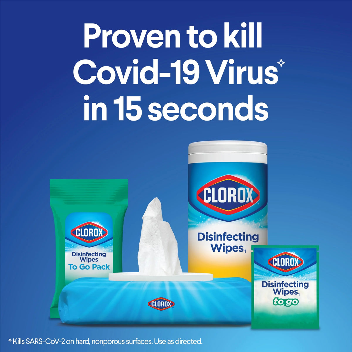 Bleach-Free Disinfecting Wipes, 100 Count R21805