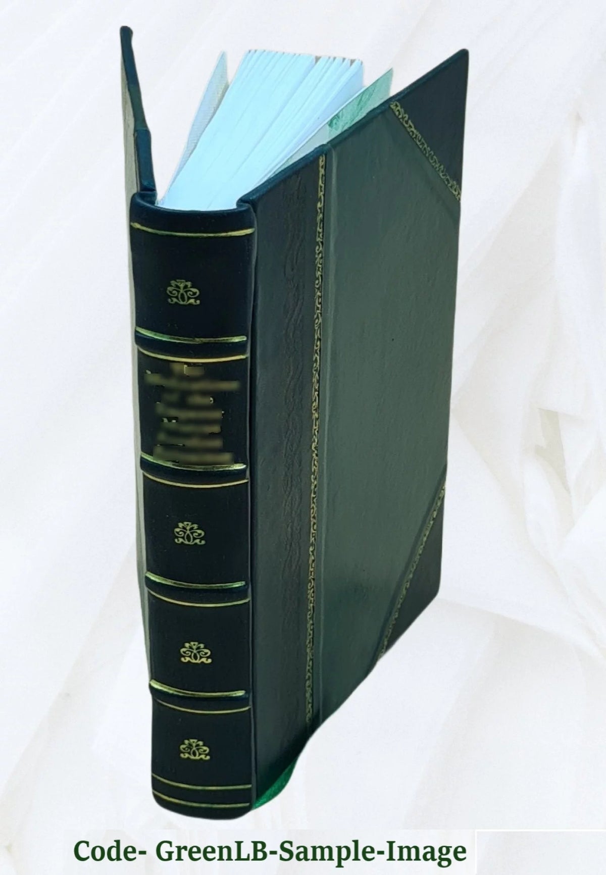 Leather Bound E3488
