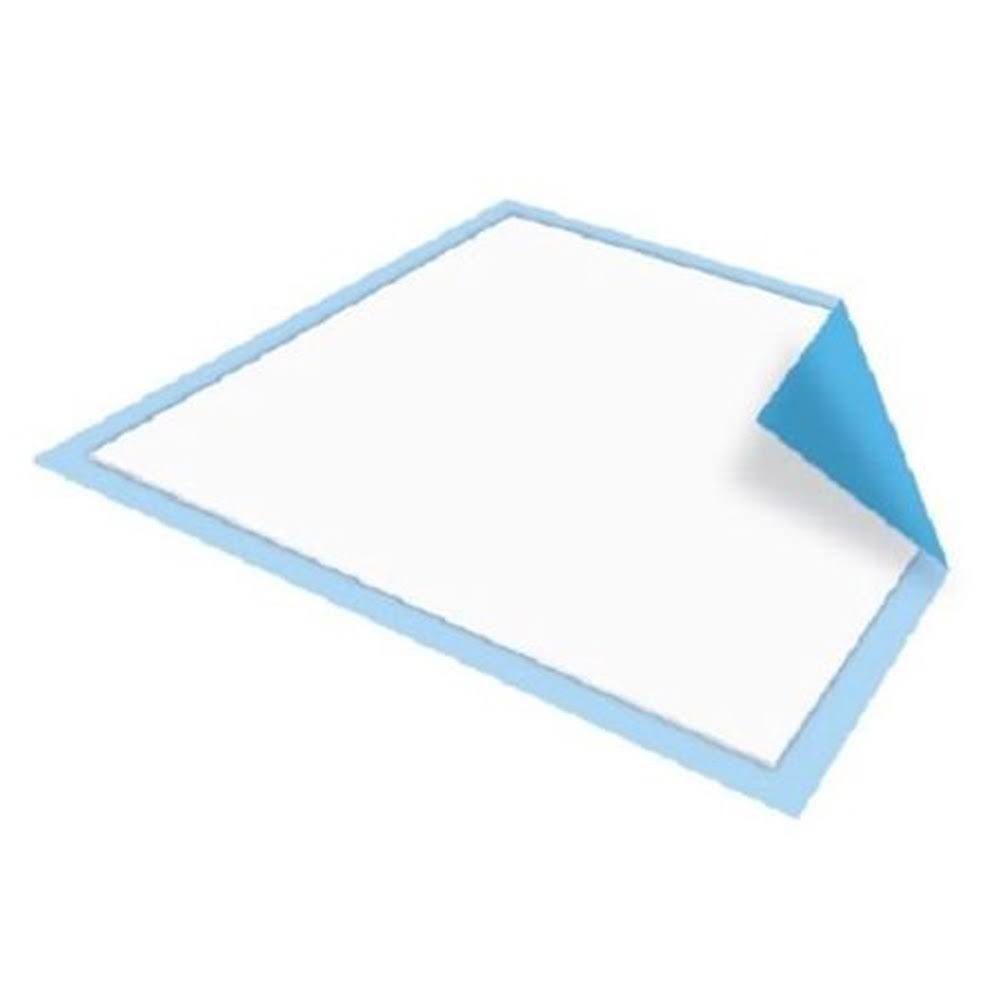 30 x 36 in 100 Count Blue Disposable Care Pads G726